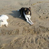 Foto van ~ Luna & Lèxi ~