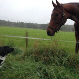 Foto van Doortje & Tibbe