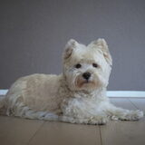 Foto van Nicole, Guus, Flynn & Puk