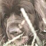 Foto van Jeanine :)