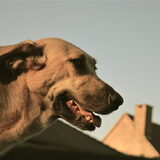 Foto van Jeanine :)