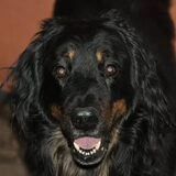 Foto van fabienne