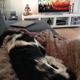 Foto van Doortje & Tibbe