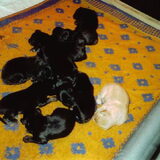Foto van fabienne