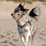 Foto van Angelique; Bruno, Charlie & Fenna
