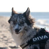 Foto van Angelique; Bruno, Charlie & Fenna