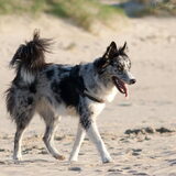 Foto van Angelique; Bruno, Charlie & Fenna