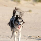 Foto van Angelique; Bruno, Charlie & Fenna
