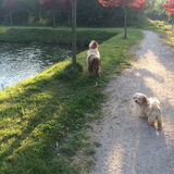 Binny met Roos