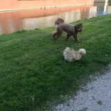 Binny met Roos