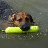 Lekker zwemmen in het wad ( Ezra)