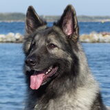 Foto van nicky