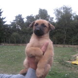 Stoere ITT