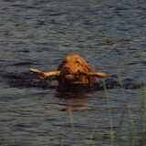 Foto van Mandy, Guus en Jill