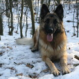 sneeuw 2010 vind ze helemaal geweldig!!!