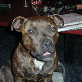 Foto van Elly