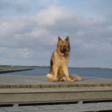 Genieten van het uitzicht op de waddenzee, Terschelling.