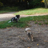 Foto van Doortje & Tibbe