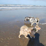 Foto van Danielle, Kyra*Kaylin*, Djaira en Djaidey