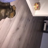 Foto van amster