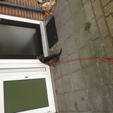 Foto van amster