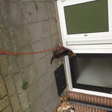 Foto van amster