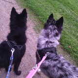 Foto van Angelique; Bruno, Charlie & Fenna