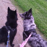 Foto van Angelique; Bruno, Charlie & Fenna