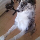 Foto van Angelique; Bruno, Charlie & Fenna