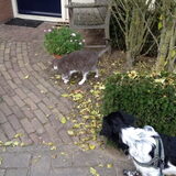 Foto van Doortje & Tibbe
