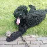 Foto van Leonie