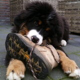 Foto van Anna
