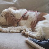 Foto van esther