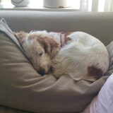 Foto van esther