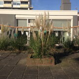 Place2BEach-House in Noordwijk aan Zee voor 4 personen. Voor meer…