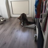 Foto van amster