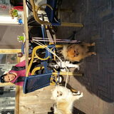 Foto van Ariane & Snowy