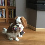 Foto van dimitri