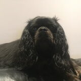 Foto van dimitri