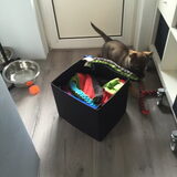 Foto van amster