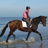 Foto van sylvia