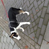 Foto van carla en Buddy