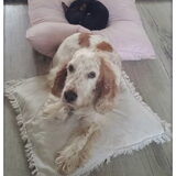 Foto van esther