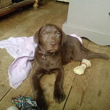 Binky spelen 13 weken