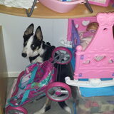Foto van carla en Buddy
