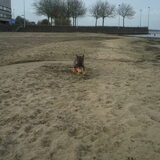 Foto van amster