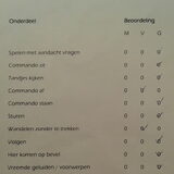 Puppycursus beoordeling Lynn