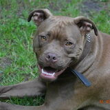 Roxy