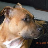 Kiara net 1 jaar oud!