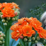 Foto van Xtine